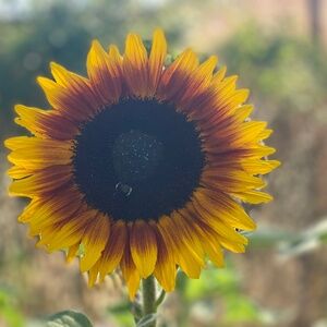 Meet your Posher, Alana